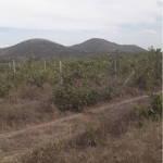 Дава се под наем Земеделски имот в Твърдица -  кв.м за 102 € - Снимка #1