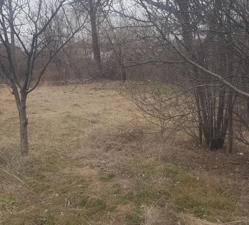 Парцел в с. Крайници, Област Кюстендил - 1060 кв.м за 22 €/кв.м - Снимка #1