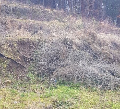 Парцел в Кюстендил, Колуша - 400 кв.м за 41 €/кв.м - Снимка #1