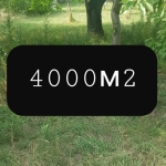 Парцел в Сапарева баня - 4000 кв.м за 51 €/кв.м - Снимка #1