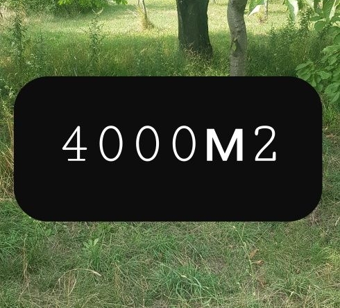 Парцел в Сапарева баня - 4000 кв.м за 51 €/кв.м - Снимка #1