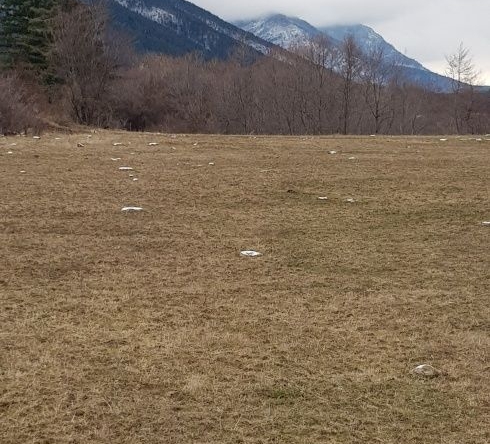 Парцел в Сапарева баня - 2100 кв.м за 12 €/кв.м - Снимка #1