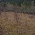 Парцел в Сапарева баня - 1900 кв.м за 27 €/кв.м - Снимка #1