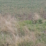 Парцел в Сапарева баня - 3960 кв.м за 23 €/кв.м - Снимка #1