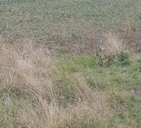 Парцел в Сапарева баня - 3960 кв.м за 23 €/кв.м - Снимка #1