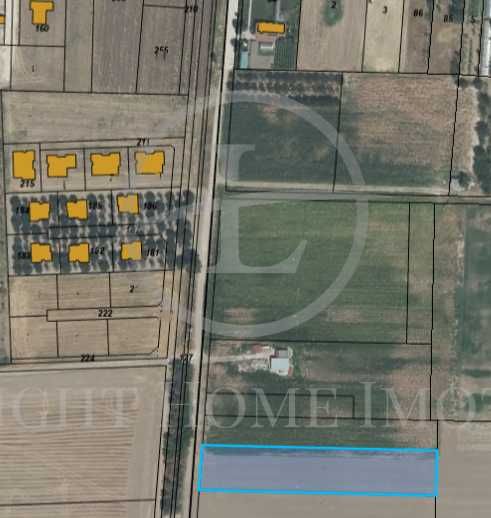 Парцел в с. Крумово, Област Пловдив - 5000 кв.м за 31 €/кв.м - Снимка #1