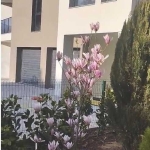 Тристаен апартамент в София, Дървеница - 97 кв.м за 1266 €/кв.м - Снимка #1