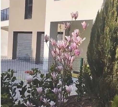 Тристаен апартамент в София, Дървеница - 97 кв.м за 1266 €/кв.м - Снимка #1