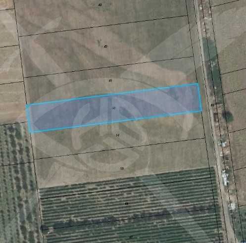 Парцел в с. Брестовица, Област Пловдив - 2800 кв.м за 8 €/кв.м - Снимка #1