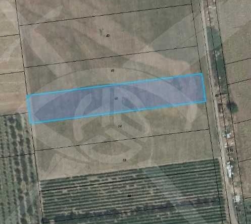 Парцел в с. Брестовица, Област Пловдив - 2800 кв.м за 15 €/кв.м - Снимка #1