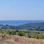 Парцел в Варна, м-т Боровец - юг - 500 кв.м за 51 €/кв.м - Снимка #1