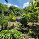 Заведение в с. Кранево, Област Добрич - 1545 кв.м за 195 €/кв.м - Снимка #1