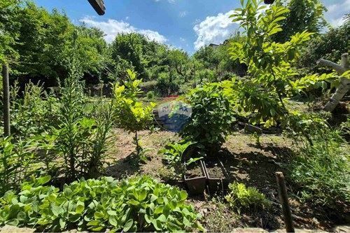 Заведение в с. Кранево, Област Добрич - 1545 кв.м за 216 €/кв.м - Снимка #1