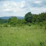 Парцел в с. Равново, Област Велико Търново - 1350 кв.м за 2 €/кв.м - Снимка #1