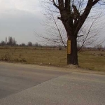 Парцел в София, Чепинци - 5380 кв.м за 100 €/кв.м - Снимка #1