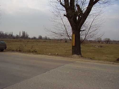 Парцел в София, Чепинци - 5380 кв.м за 100 €/кв.м - Снимка #1