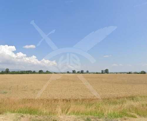 Парцел в с. Труд, Област Пловдив - 7365 кв.м за 37 €/кв.м - Снимка #1