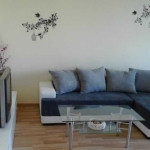 Дава се под наем Двустаен апартамент в София, Гео Милев - 50 кв.м за 348.84 € - Снимка #1