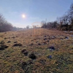 Парцел в Разград, Промишлена зона - Запад - 2200 кв.м за 4 €/кв.м - Снимка #1