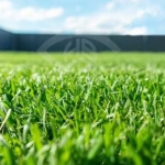 Парцел в Перущица - 271 кв.м за 79 €/кв.м - Снимка #1