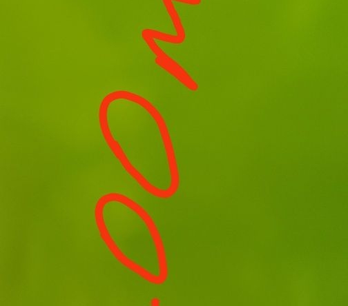 Парцел в Враца, Дъбника - 1200 кв.м за 2 €/кв.м - Снимка #1