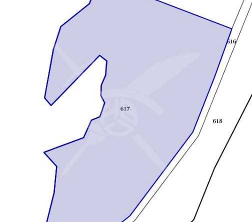 Парцел в с. Драчево, Област Бургас - 10595 кв.м за 8 €/кв.м - Снимка #1