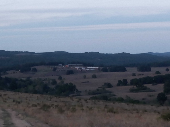 Промишлена сграда в с. Момина църква, Област Бургас - 41000 кв.м за 49 €/кв.м - Снимка #1