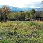 Парцел в Силистра, Център - 1050 кв.м за 14 €/кв.м - Снимка #1