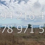 Парцел в с. Рогош, Област Пловдив - 4500 кв.м за 6 €/кв.м - Снимка #1