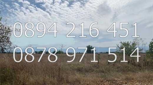 Парцел в с. Рогош, Област Пловдив - 4500 кв.м за 6 €/кв.м - Снимка #1