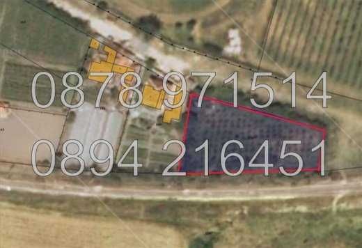 Парцел в с. Маноле, Област Пловдив - 660 кв.м за 40 €/кв.м - Снимка #1