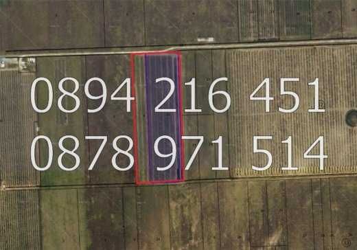 Земеделски имот в с. Войводиново, Област Пловдив -  кв.м за 2979 €/дка - Снимка #1