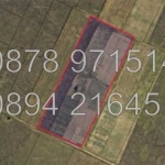 Земеделски имот в с. Калековец, Област Пловдив -  кв.м за 1448 €/дка - Снимка #1