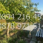 Парцел в Хисаря - 780 кв.м за 56 €/кв.м - Снимка #1