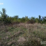 Парцел в с. Драгойново, Област Пловдив - 830 кв.м за 7 €/кв.м - Снимка #1