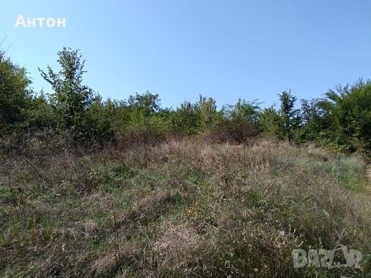 Парцел в с. Драгойново, Област Пловдив - 830 кв.м за 7 €/кв.м - Снимка #1