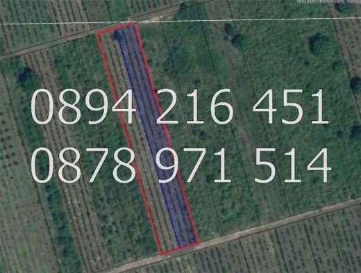 Земеделски имот в с. Йоаким Груево, Област Пловдив -  кв.м за 925 €/дка - Снимка #1