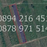 Земеделски имот в с. Йоаким Груево, Област Пловдив -  кв.м за 1813 €/дка - Снимка #1