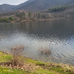 Парцел в с. Златосел, Област Пловдив - 530 кв.м за 31 €/кв.м - Снимка #1