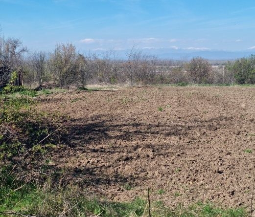 Парцел в с. Чешнегирово, Област Пловдив - 1500 кв.м за 24 €/кв.м - Снимка #1