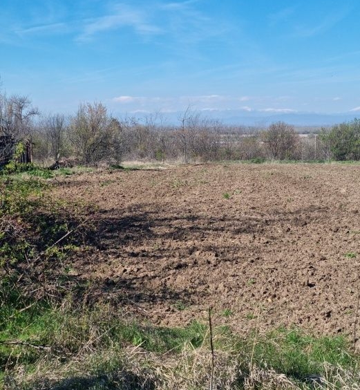 Парцел в с. Чешнегирово, Област Пловдив - 1500 кв.м за 24 €/кв.м - Снимка #1