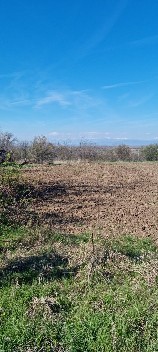 Парцел в с. Чешнегирово, Област Пловдив - 1500 кв.м за 24 €/кв.м - Снимка #1