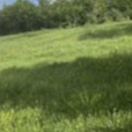 Парцел в Плевен, Идеален център - 780 кв.м за 26 €/кв.м - Снимка #1