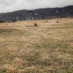 Парцел в с. Васил Левски, Област Пловдив - 8839 кв.м за 3 €/кв.м - Снимка #1