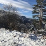 Парцел в Асеновград - 1600 кв.м за 19 €/кв.м - Снимка #1