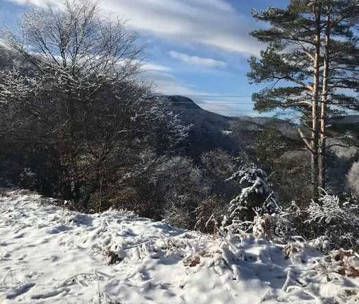 Парцел в Асеновград - 1600 кв.м за 19 €/кв.м - Снимка #1