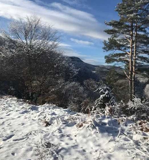 Парцел в Асеновград - 1600 кв.м за 19 €/кв.м - Снимка #1