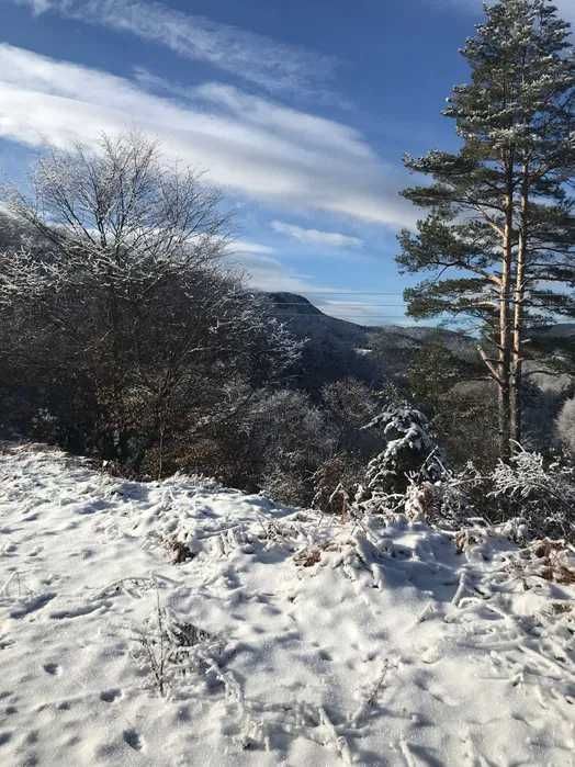 Парцел в Асеновград - 1600 кв.м за 19 €/кв.м - Снимка #1