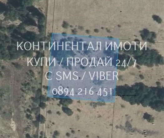 Парцел в с. Рогош, Област Пловдив - 3300 кв.м за 31 €/кв.м - Снимка #1