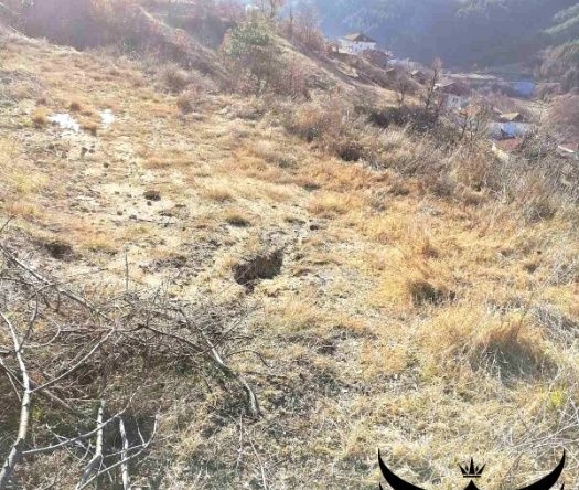 Парцел в с. Оряховец, Област Смолян - 3508 кв.м за 4 €/кв.м - Снимка #1